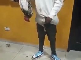 Thief Caught With 3 Stolen Live Chickens Hidden In His Pants (Video)