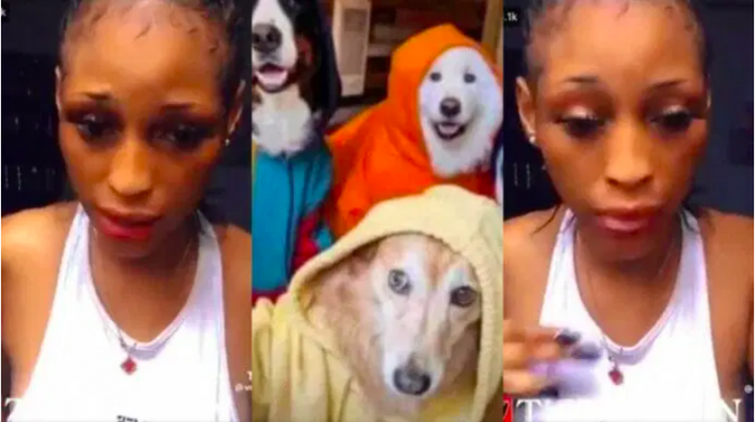 Nigerian lady caught having sex with a dog in Dubai for 1.4 million naira