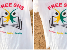 Free SHS branded T-shirts estimated to cost GHC38m being shared to students