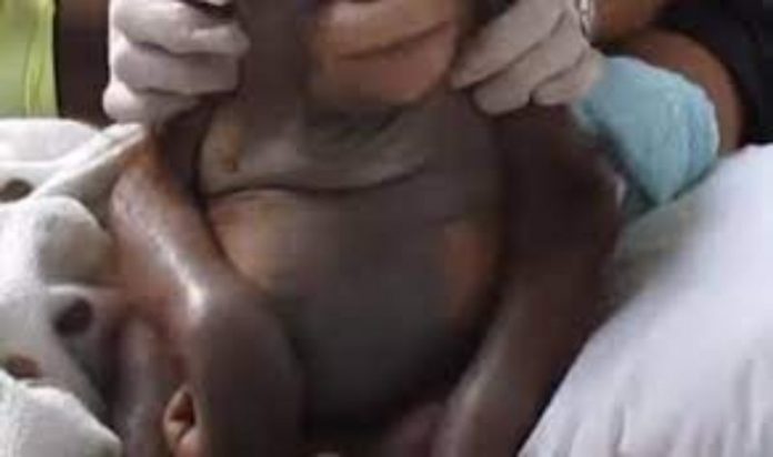 A certain lady we are yet to lay hands on her name has allegedly given birth to a monkey in one of the European countries in the world.
