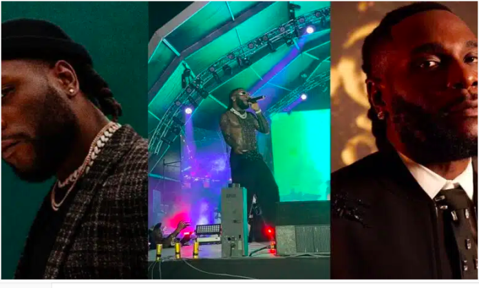 Burna Boy blasts fans after starting show meant for 7pm at 3am